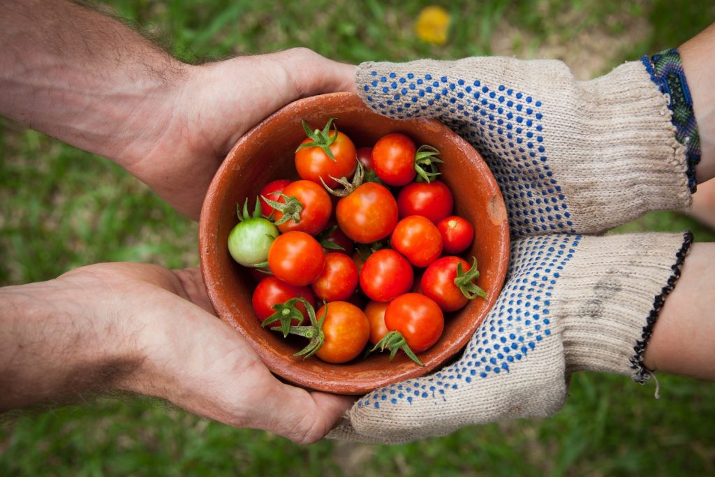 Community Greenhouse for Older Indigenous Adults: Supporting Cognitive Health