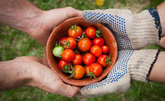 Community Greenhouse for Older Indigenous Adults: Supporting Cognitive Health