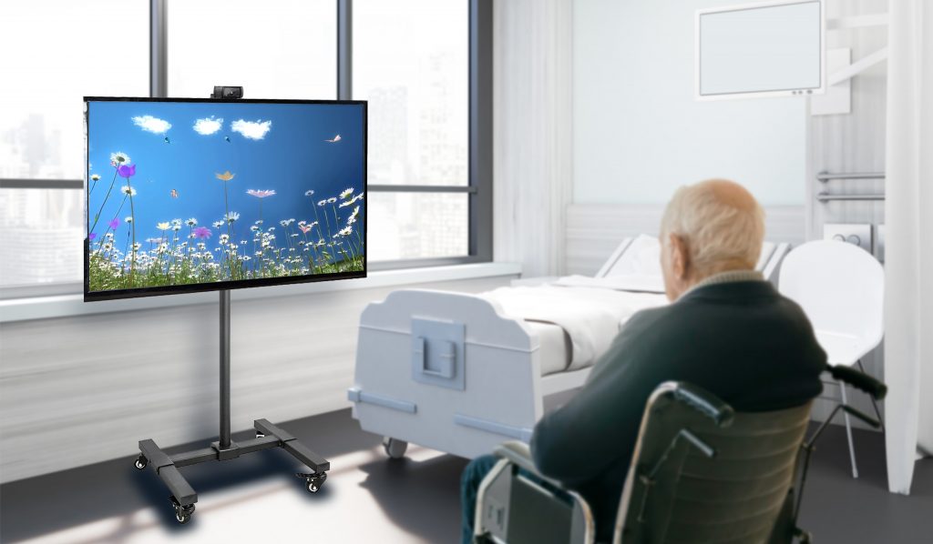 MindfulGarden: Interactive Digital Screen to Reduce Dementia-Related Responsive Symptoms