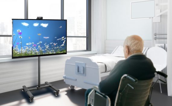 MindfulGarden: Interactive Digital Screen to Reduce Dementia-Related Responsive Symptoms