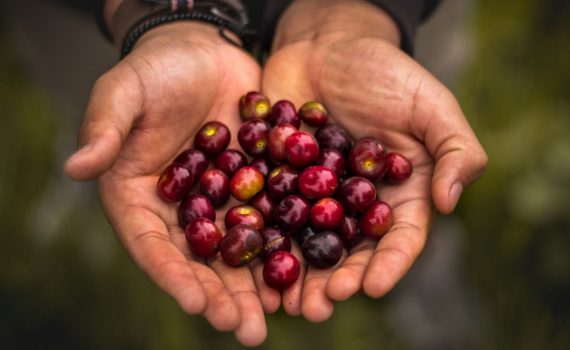 Innovative Aging Solutions Making a Difference in Indigenous Communities